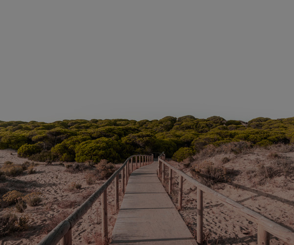Transfer Huelva, Transfer aeropuerto Huelva, Traslado aeropuerto Huelva, Buses aeropuerto Huelva